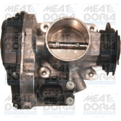 Throttle Body